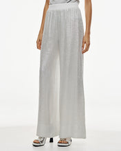 Load image into Gallery viewer, ACCESS - Metallic Mesh Pants - Silver
