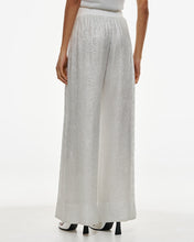 Load image into Gallery viewer, ACCESS - Metallic Mesh Pants - Silver
